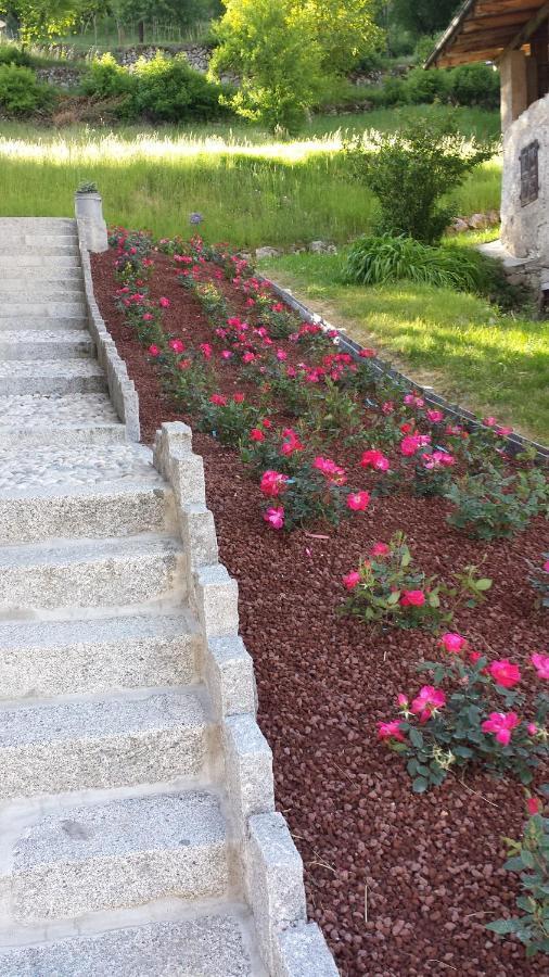 Coltura B&B La Meridiana المظهر الخارجي الصورة